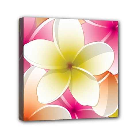 Frangipani Flower Floral White Pink Yellow Mini Canvas 6  X 6  by Mariart