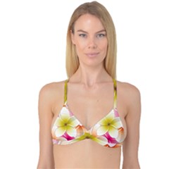 Frangipani Flower Floral White Pink Yellow Reversible Tri Bikini Top by Mariart