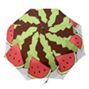 Watermelon Slice Red Green Fruite Circle Folding Umbrellas View1