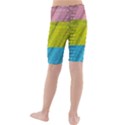 Brickwall Kids  Mid Length Swim Shorts View2