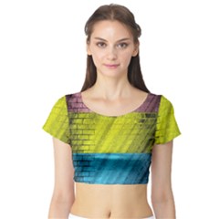 Brickwall Short Sleeve Crop Top (tight Fit) by Nexatart