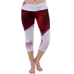 Dreamworld Studio 2d Illustration Of Beautiful Studio Setting Capri Yoga Leggings by Nexatart