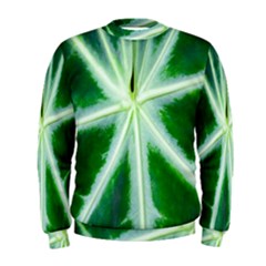 Green Leaf Macro Detail Men s Sweatshirt by Nexatart