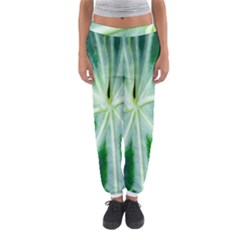 Green Leaf Macro Detail Women s Jogger Sweatpants by Nexatart