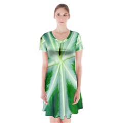 Green Leaf Macro Detail Short Sleeve V-neck Flare Dress