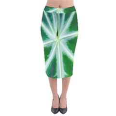 Green Leaf Macro Detail Velvet Midi Pencil Skirt by Nexatart