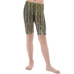 Bamboo Trees Background Kids  Mid Length Swim Shorts by Nexatart