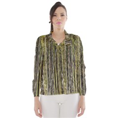 Bamboo Trees Background Wind Breaker (women) by Nexatart