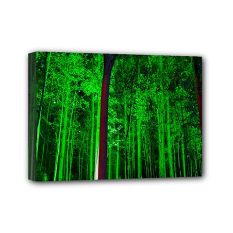 Spooky Forest With Illuminated Trees Mini Canvas 7  X 5  by Nexatart