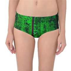 Spooky Forest With Illuminated Trees Mid-waist Bikini Bottoms by Nexatart