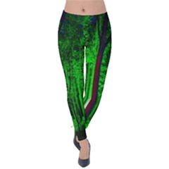 Spooky Forest With Illuminated Trees Velvet Leggings