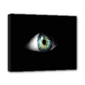 Eye On The Black Background Canvas 10  x 8  View1