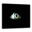 Eye On The Black Background Canvas 24  x 20  View1