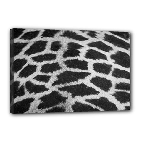 Black And White Giraffe Skin Pattern Canvas 18  X 12  by Nexatart