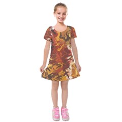 Abstraction Abstract Pattern Kids  Short Sleeve Velvet Dress by Nexatart