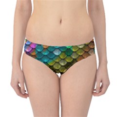 Fish Scales Pattern Background In Rainbow Colors Wallpaper Hipster Bikini Bottoms by Nexatart