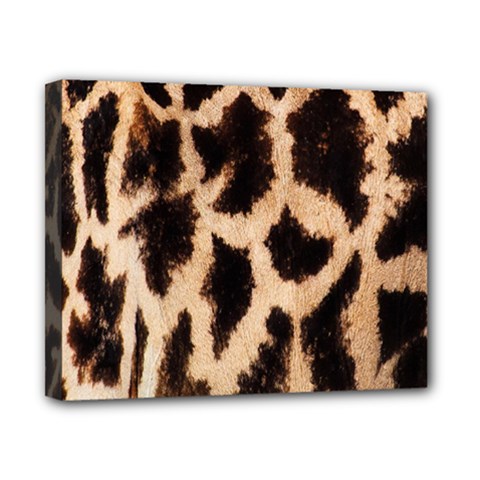 Giraffe Texture Yellow And Brown Spots On Giraffe Skin Canvas 10  X 8  by Nexatart