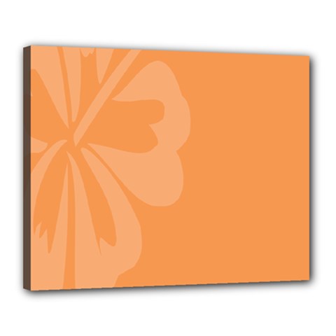 Hibiscus Sakura Tangerine Orange Canvas 20  X 16  by Mariart