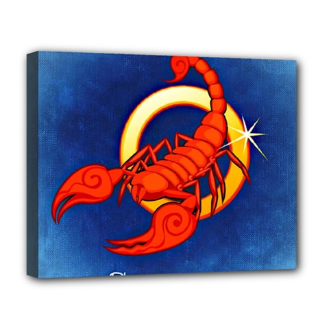 Zodiac Scorpio Deluxe Canvas 20  x 16  