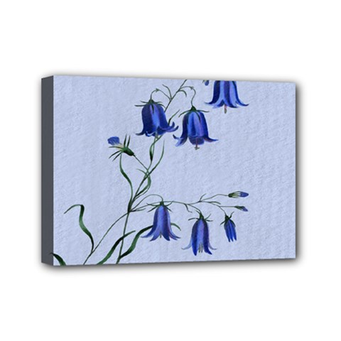 Floral Blue Bluebell Flowers Watercolor Painting Mini Canvas 7  X 5  by Nexatart