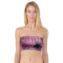 Oil Painting Flowers Background Bandeau Top by Nexatart