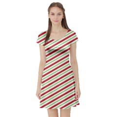 Stripes Striped Design Pattern Short Sleeve Skater Dress