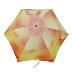 Background Abstract Texture Pattern Mini Folding Umbrellas by Nexatart