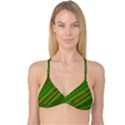 Stripes Course Texture Background Reversible Tri Bikini Top View3