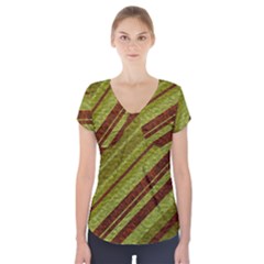 Stripes Course Texture Background Short Sleeve Front Detail Top by Nexatart