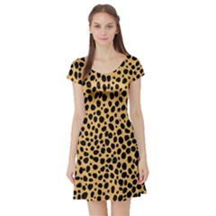 Cheetah Skin Spor Polka Dot Brown Black Dalmantion Short Sleeve Skater Dress by Mariart