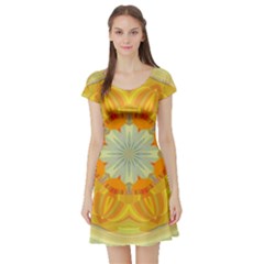 Sunshine Sunny Sun Abstract Yellow Short Sleeve Skater Dress by Nexatart