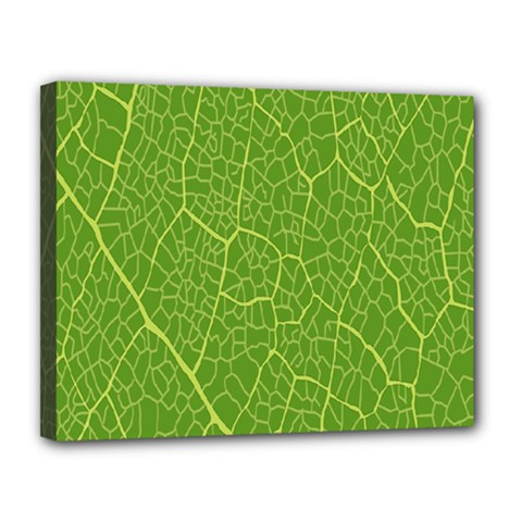 Green Leaf Line Canvas 14  X 11  by Mariart