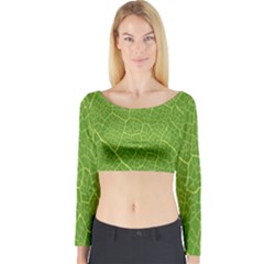 Green Leaf Line Long Sleeve Crop Top by Mariart