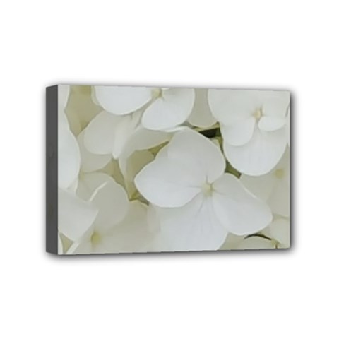 Hydrangea Flowers Blossom White Floral Photography Elegant Bridal Chic  Mini Canvas 6  X 4  by yoursparklingshop