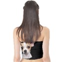 Chihuahua Tube Top View2