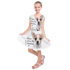 Chihuahua Kids  Short Sleeve Dress by Valentinaart