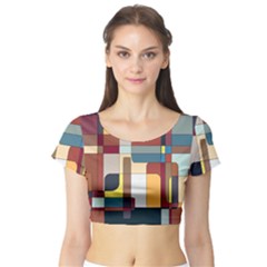 Patchwork Short Sleeve Crop Top (tight Fit)