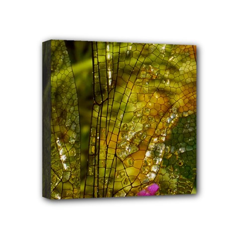 Dragonfly Dragonfly Wing Insect Mini Canvas 4  X 4  by Nexatart