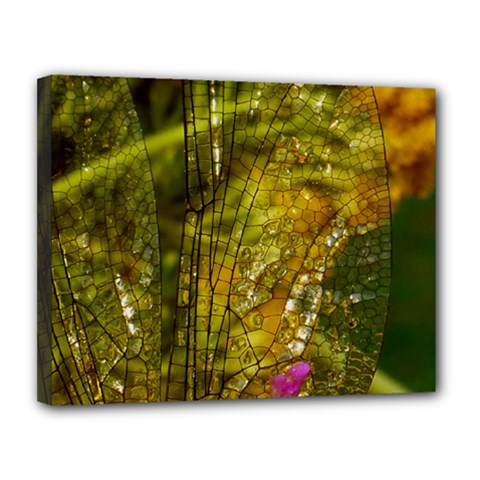 Dragonfly Dragonfly Wing Insect Canvas 14  X 11  by Nexatart