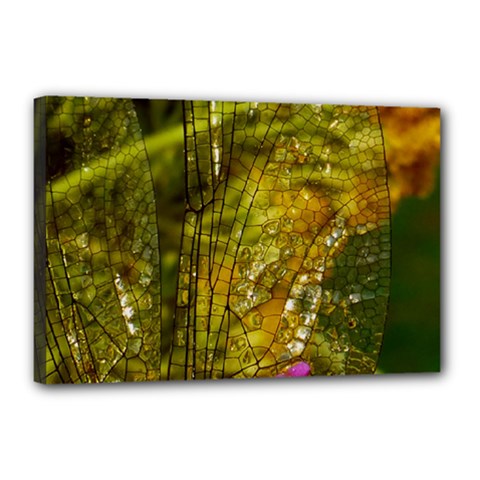 Dragonfly Dragonfly Wing Insect Canvas 18  X 12  by Nexatart