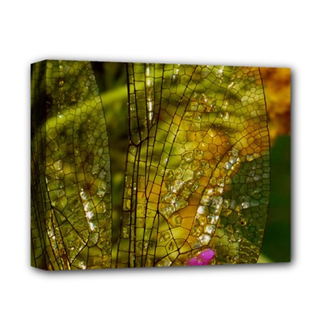 Dragonfly Dragonfly Wing Insect Deluxe Canvas 14  X 11  by Nexatart