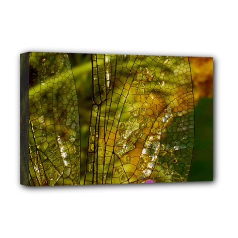 Dragonfly Dragonfly Wing Insect Deluxe Canvas 18  X 12   by Nexatart