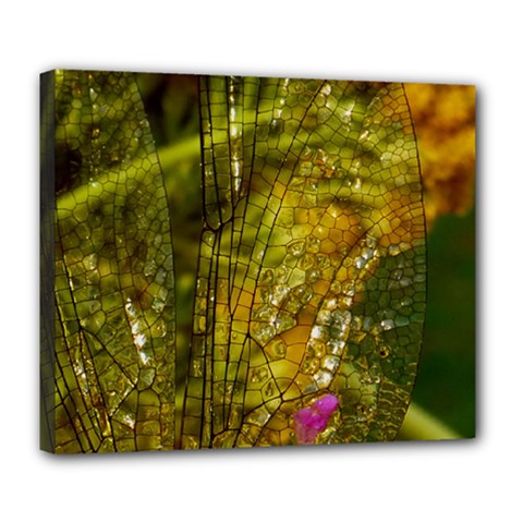 Dragonfly Dragonfly Wing Insect Deluxe Canvas 24  X 20   by Nexatart