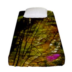 Dragonfly Dragonfly Wing Insect Fitted Sheet (single Size) by Nexatart