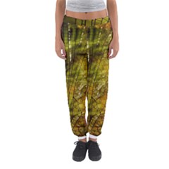 Dragonfly Dragonfly Wing Insect Women s Jogger Sweatpants by Nexatart