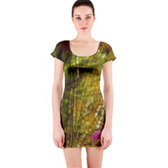 Dragonfly Dragonfly Wing Insect Short Sleeve Bodycon Dress by Nexatart