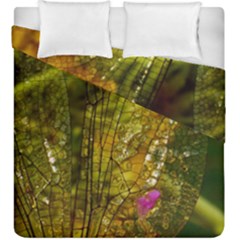 Dragonfly Dragonfly Wing Insect Duvet Cover Double Side (king Size) by Nexatart