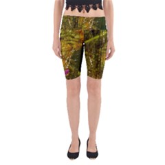 Dragonfly Dragonfly Wing Insect Yoga Cropped Leggings by Nexatart