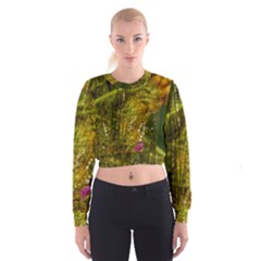 Dragonfly Dragonfly Wing Insect Cropped Sweatshirt by Nexatart