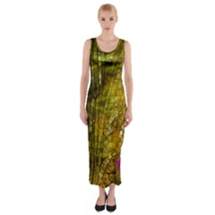 Dragonfly Dragonfly Wing Insect Fitted Maxi Dress by Nexatart